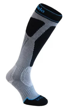 BridgedaleAlpine Tour