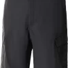 The North FaceMen's Horizon Shorts