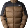 The North FaceDiablo Down Jacket